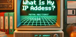 What is my IP?